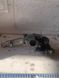 Масляний насос MB Mercedes E-class w211 3.0cdi M-class 3.0cdi A6421810847 2885632731 фото 6