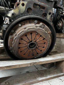 Сцепление в сборе Iveco Daily 99-06 504177013 2885631908 фото